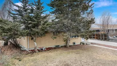 a house with two trees in front of it at Wild West-Inspired Family Home in Denver