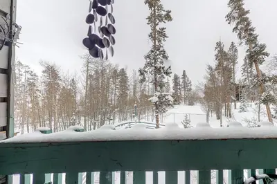 a snow covered yard with trees and a fence at Lodge Pole Condo in Silverthorne