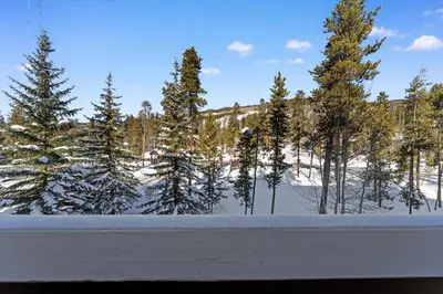 a group of pine trees in the snow at Red Hawk Lodge 2267 in Keystone