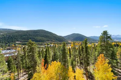 an aerial view of a forest of trees with yellow leaves at Saints John 2539 in Keystone