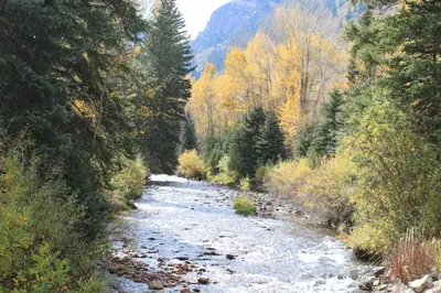 a river in the middle of a forest with trees at Alcove 77 in Keystone