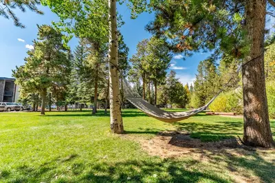 a hammock hanging between two trees in a park at Lake Cliffe 307 Building A in Dillon