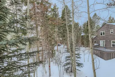 a house in the snow next to a group of trees at Gold Dust 660A in Frisco