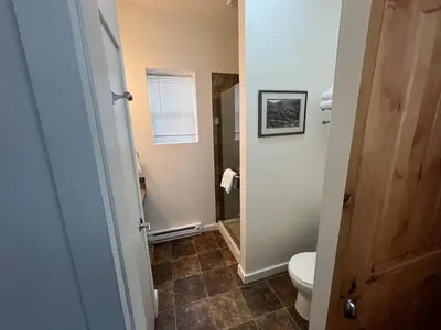 a small bathroom with a toilet and a shower at Railway Cabin at Base Camp in Dumont