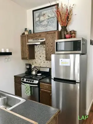 a kitchen with a stainless steel refrigerator and a stove at Spring Gulch Cabin at Base Camp in Dumont