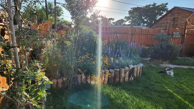 a fountain in a garden with a dog in the yard at Pet Friendly Suite with Fenced Garden, HotTub, Sauna in Denver