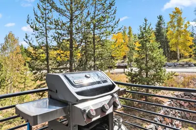 a grill on a fence with trees in the background at Mountain Getaway Deck Spacious Kitchen in Silverthorne
