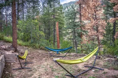 two hammocks sitting in the middle of a forest at Dog Friendly, Year Round, Creekside Cabin, Hot Tub, 6 Acres in Jamestown