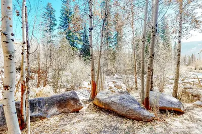 a forest with two large rocks and trees at Riverview Condo #5 in Grand Lake
