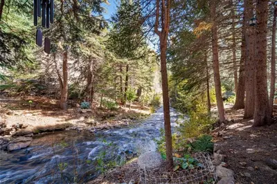 a stream in the middle of a forest with trees at Summit Condo at St. Marys in Idaho Springs
