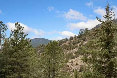 a view of a mountain with trees on it at King of the Mountain. Private Hot Tub. Pets allowe in Idaho Springs