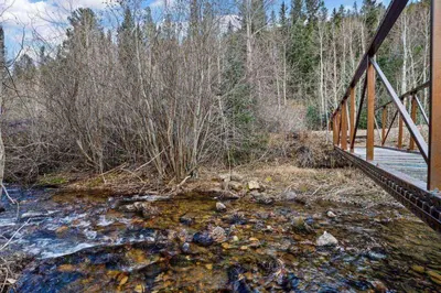 a bridge over a stream in a forest at Cabin by North Clear Creek. Private Hot Tub. Pets in Black Hawk