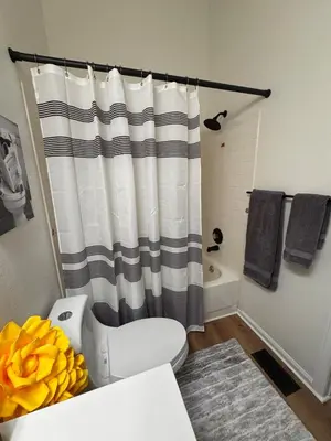 a bathroom with a shower curtain and a toilet at Beautifully Renovated OneBedroom Apt with Two Beds in Littleton