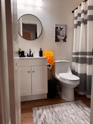a bathroom with a white toilet and a mirror at Beautifully Renovated OneBedroom Apt with Two Beds in Littleton