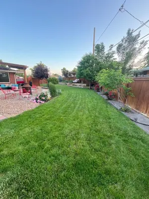 a yard with green grass and a fence at Su Casa Studio in Denver