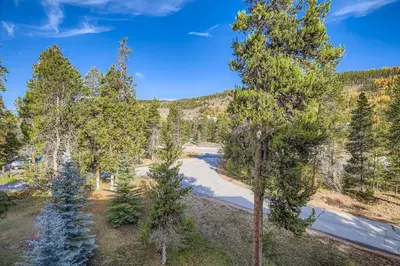 an aerial view of a park with trees at 1806 Decatur condo in Keystone