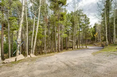 an empty road in the middle of a forest at Hot Tub and Game Room Peaceful Retreat in Evergreen in Evergreen