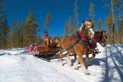 a group of people riding on a horse drawn sleigh in the snow at New Mountain Home, Amazing Unobstructed Lake & Mountain Views, Hot Tub, Close to Town! in Grand Lake