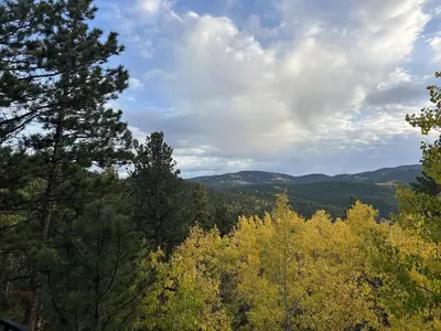 a view of the forest from the top of a mountain at RollinsVilla home in Rollinsville