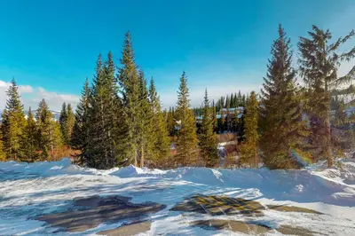 a snow covered field with trees and a mountain at Buffalo Ridge C101 in Silverthorne