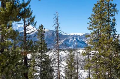 a group of trees with snow covered mountains in the background at Oro Grande 416 in Keystone