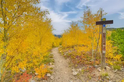 a dirt road in a field with yellow trees at The Mountain Chalet - Free Ski Shuttle to Lifts! in Winter Park
