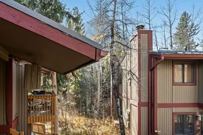 a house with a porch next to a forest at Mountain Charmer Steps to Main St and Trails in Frisco