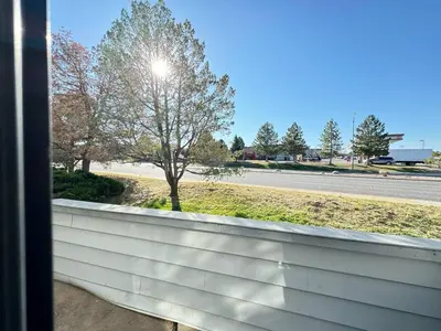 a window view of a tree and a road at The Cozy Condo - Your Home Base near all amenities in Aurora