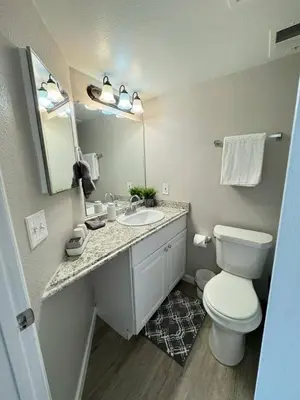 a bathroom with a toilet and a sink and a mirror at The Cozy Condo - Your Home Base near all amenities in Aurora