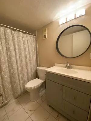 a bathroom with a toilet and a sink and a mirror at Summit County Wildernest Condo in Silverthorne