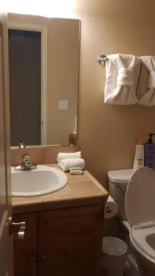 a bathroom with a sink and a toilet and a mirror at Meadow Ridge Mountain Views 8 minutes from Basecamp in Winter Park