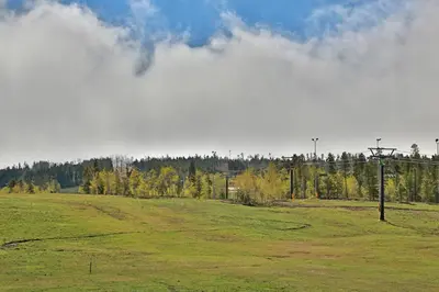 a field with a telephone pole in a field at Base Camp One 403 in Granby