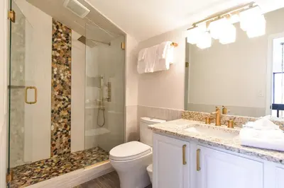 a bathroom with a shower and a toilet and a sink at Lake Forest Alpine View: Lake Mountain Views in Frisco