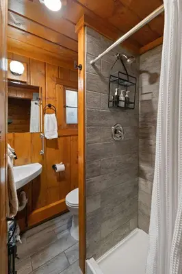 a bathroom with a shower and a toilet at Cabin 6- Private Hot Tub 5 Min to RMNP in Estes Park