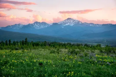 a field of flowers with mountains in the background at Winter Park 3BR Townhouse with Mountain views in Fraser
