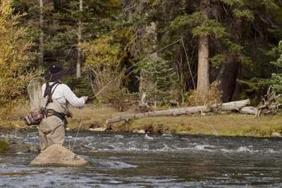 a man standing on a rock in a river fishing at Rocky Mountain High - Pet Friendly in Grand Lake