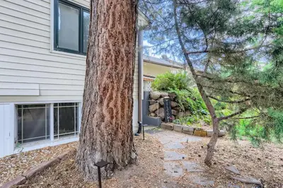 a large tree in front of a house at 1815 Bluebell New in Boulder