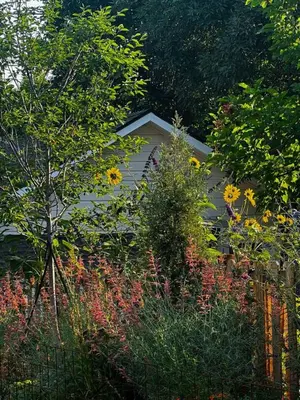 a house in the middle of a garden with flowers at 9 Min Walk to Pearl Street - Downtown Boulder in Boulder