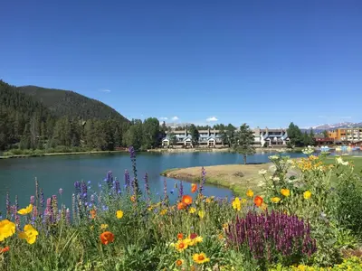 a field of flowers in front of a lake at Lakeside 1491 by SummitCove Lodging in Keystone