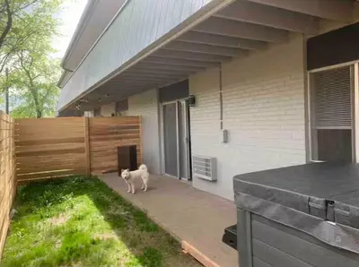 a white cat standing in front of a house at My hidden gem in Denver