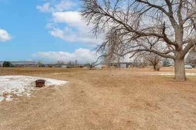 a field with a tree and snow on the ground at 3 Mi to Dtwn Berthoud Home with Longs Peak Views in Berthoud