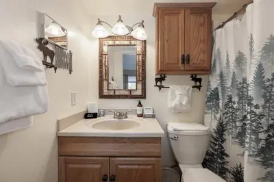 a bathroom with a sink and a toilet and a mirror at Comfortable Mountain Getaway near Winter Park in Fraser