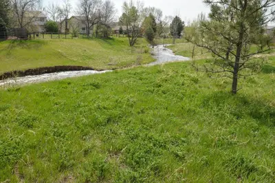 a stream in a field with a tree in the grass at 6 Mi to Dtwn Fort Collins Cozy Apt with Shared Yard in Fort Collins