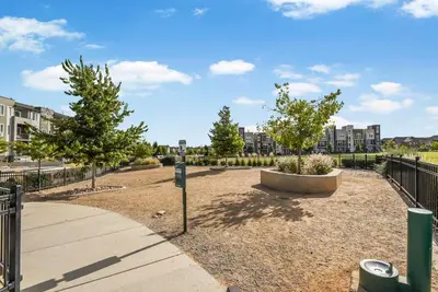 a park with two trees and a fence at Landing Incredible 1BD Gym Clubhouse in Littleton