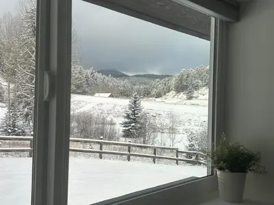 a window with a view of a snow covered field at Modern barn by the creek in Evergreen