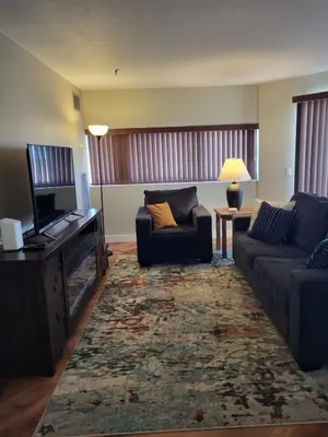 a living room with a couch and a television at Comfortable 1 Bed 1 Bath Loft in Uptown Denver in Denver