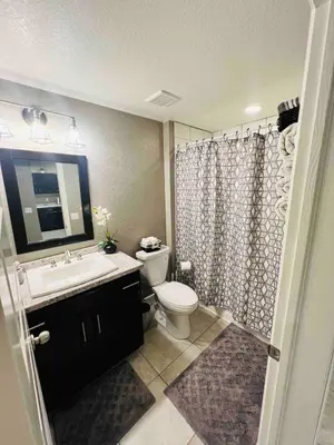 a bathroom with a toilet and a sink and a shower at Entire Fully Equipped Basement Guest Apartment Home in DEN