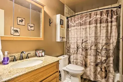 a bathroom with a toilet and a shower curtain at Estes Escape-Walk Downtown - Free Mountain Coaster in Estes Park