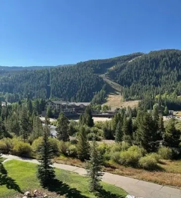 a view of a mountain with trees and a train at Renovated 3BR Mountain Condo - Kids Ski Free condo in Keystone