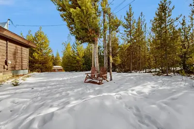 a bench sitting in the snow next to a tree at The Meandering Moose in Grand Lake